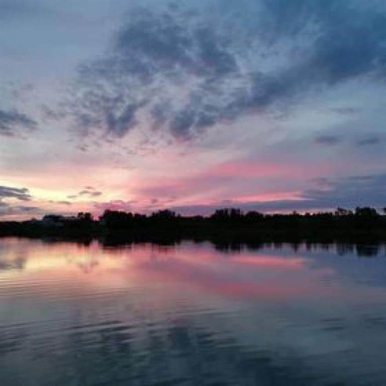12 Branch Lake - Photo 1