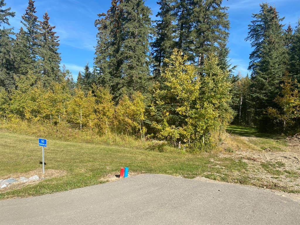 160 Meadow Ponds Drive - Photo 1