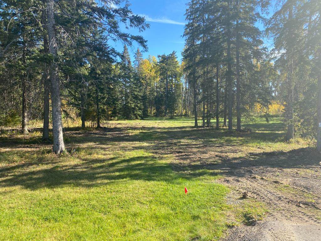 202 High Timber Place - Photo 1