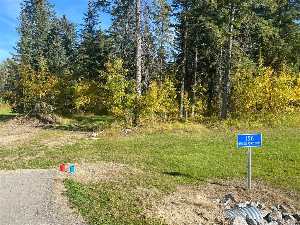 156 Meadow Ponds Drive - Photo 1