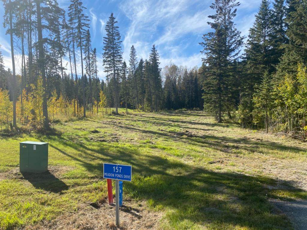 157 Meadow Ponds Drive - Photo 1