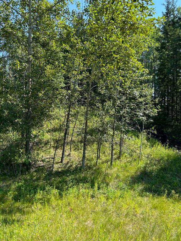 LOT R3 Westridge Road - Photo 1