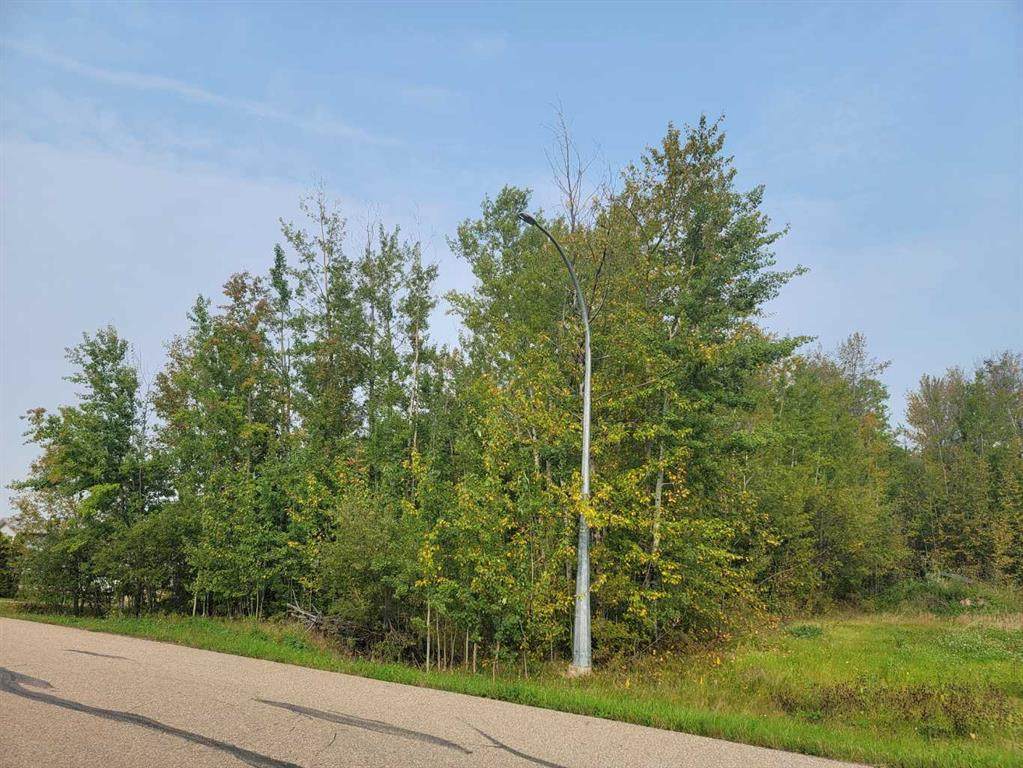 5404 Spruce Avenue - Photo 1