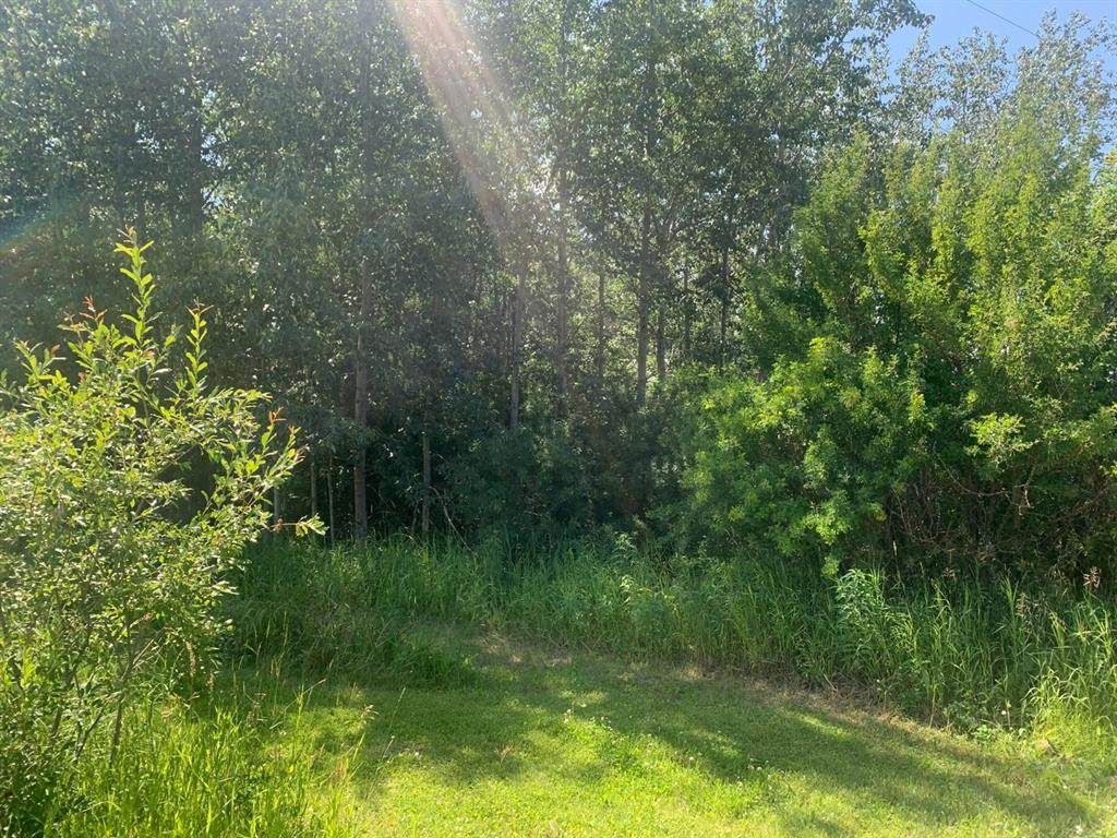 https://bt-photos.global.ssl.fastly.net/calgary/orig_boomver_1_A2080204-2.jpg