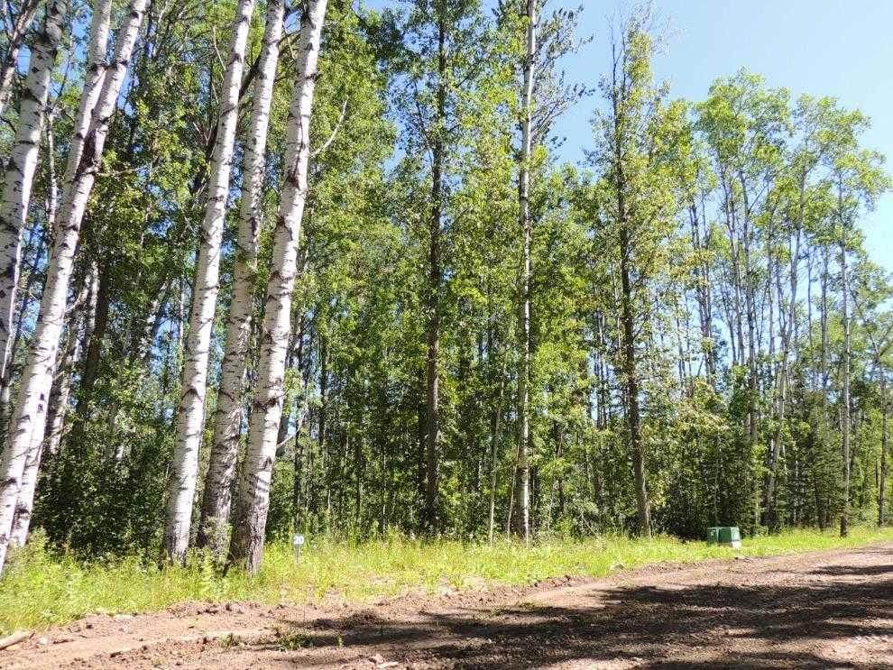 Lot #20 Wapiti River Sw-21-69-10-W6 - Photo 1