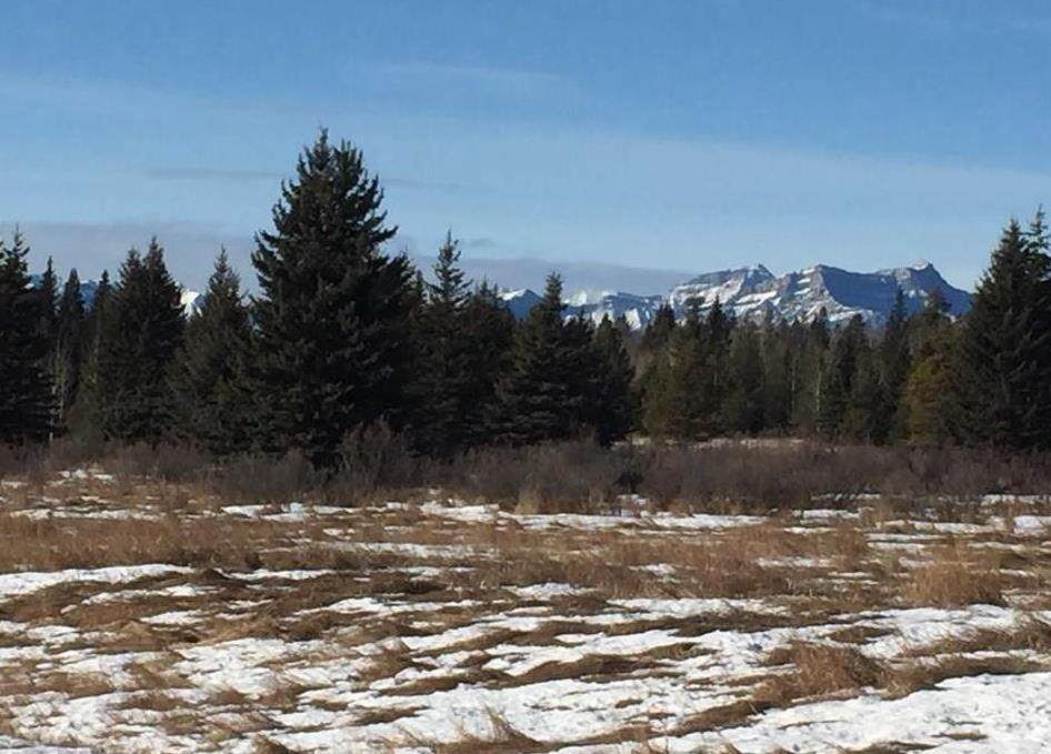 https://bt-photos.global.ssl.fastly.net/calgary/orig_boomver_1_A2167685-2.jpg