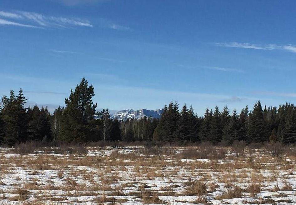 https://bt-photos.global.ssl.fastly.net/calgary/orig_boomver_1_A2167685-2.jpg