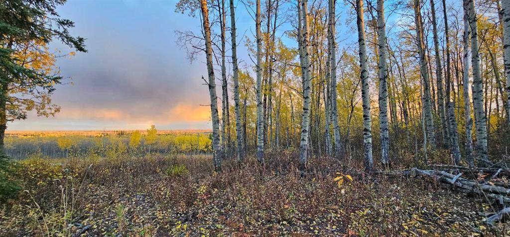 https://bt-photos.global.ssl.fastly.net/calgary/orig_boomver_1_A2168747-2.jpg