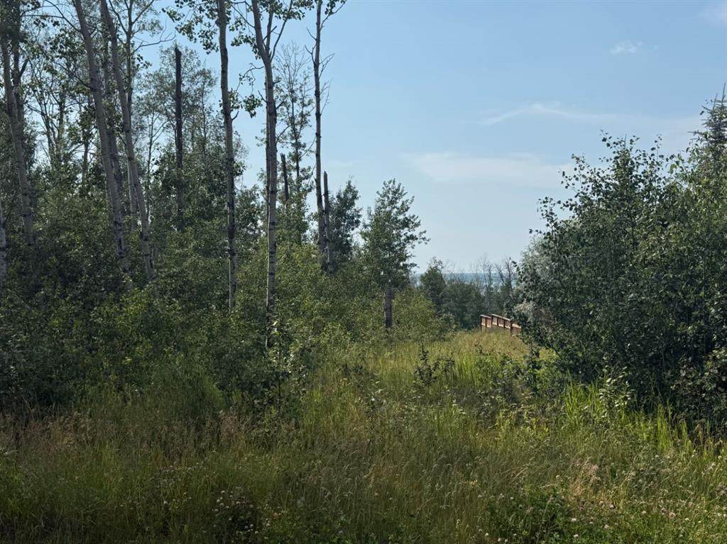 https://bt-photos.global.ssl.fastly.net/calgary/orig_boomver_1_A2186586-2.jpg