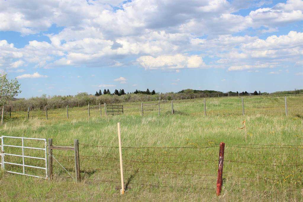 https://bt-photos.global.ssl.fastly.net/calgary/orig_boomver_1_A2187773-2.jpg