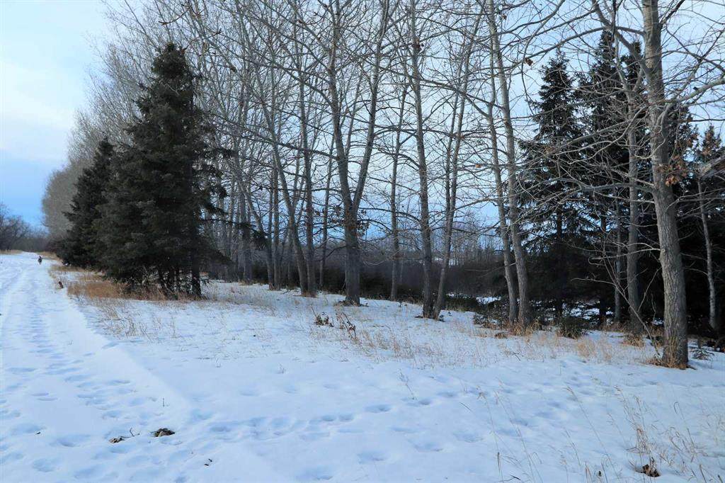 https://bt-photos.global.ssl.fastly.net/calgary/orig_boomver_1_A2188607-2.jpg