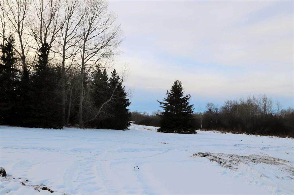 https://bt-photos.global.ssl.fastly.net/calgary/orig_boomver_1_A2188611-2.jpg