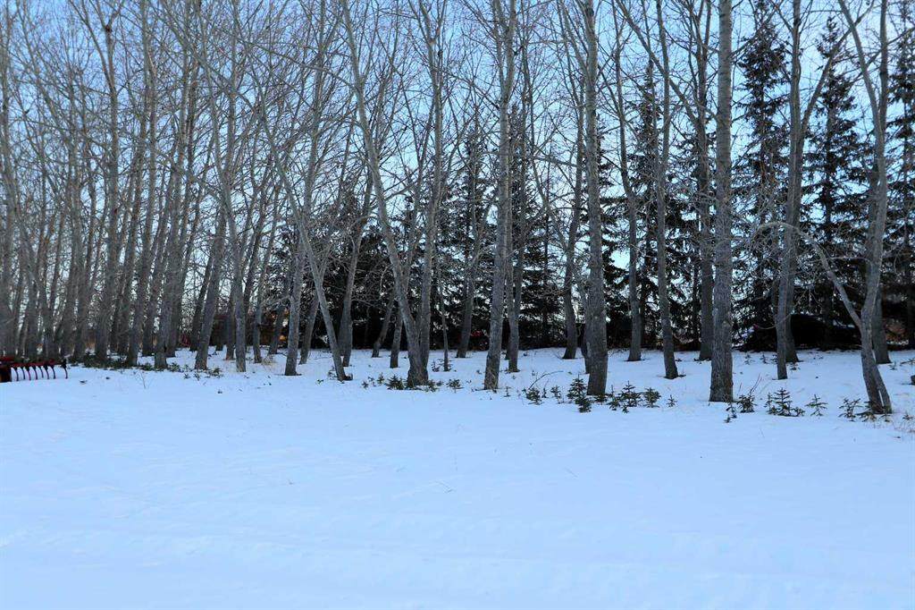 https://bt-photos.global.ssl.fastly.net/calgary/orig_boomver_1_A2188611-2.jpg