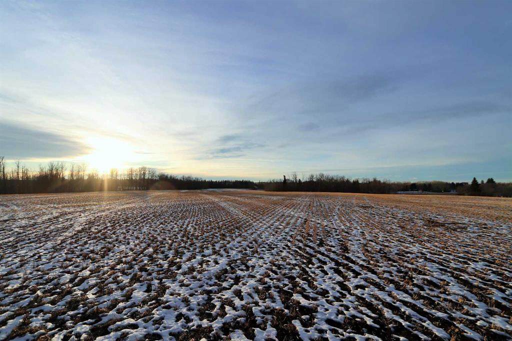 https://bt-photos.global.ssl.fastly.net/calgary/orig_boomver_1_A2188780-2.jpg