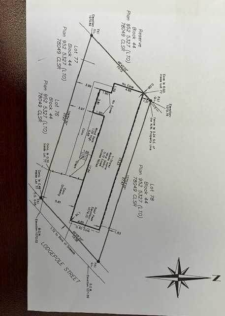 1016 Lodgepole Street - Photo 1