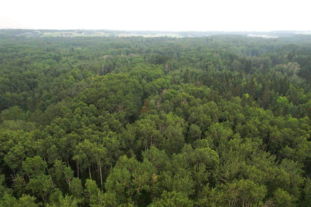 On Range Road 14 - Photo 1