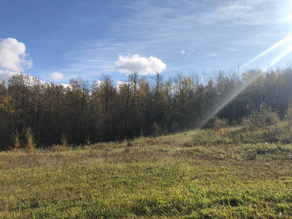 https://bt-photos.global.ssl.fastly.net/calgary/orig_boomver_1_A2219230-2.jpg