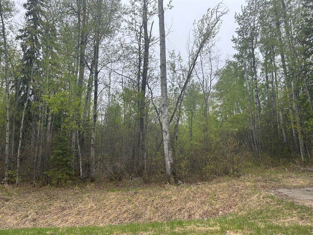 123 Poplar Drive Rr Drive - Photo 1