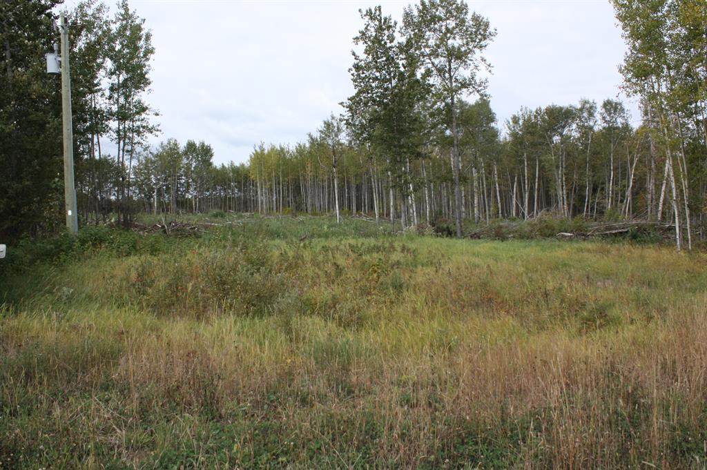 https://bt-photos.global.ssl.fastly.net/calgary/orig_boomver_1_A2224152-2.jpg