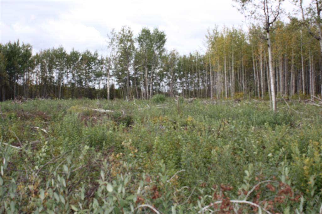 https://bt-photos.global.ssl.fastly.net/calgary/orig_boomver_1_A2224152-2.jpg