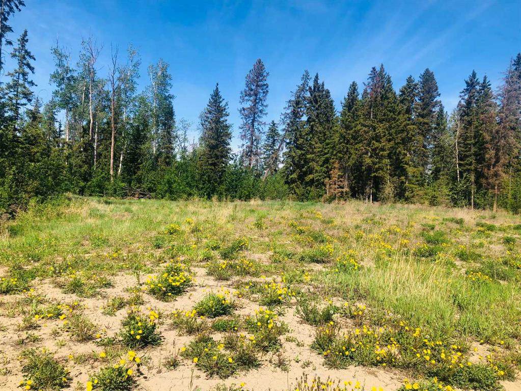 4802 47 Avenue - Photo 1