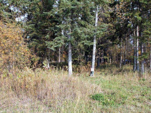 https://bt-photos.global.ssl.fastly.net/calgary/orig_boomver_1_A2233691-2.jpg
