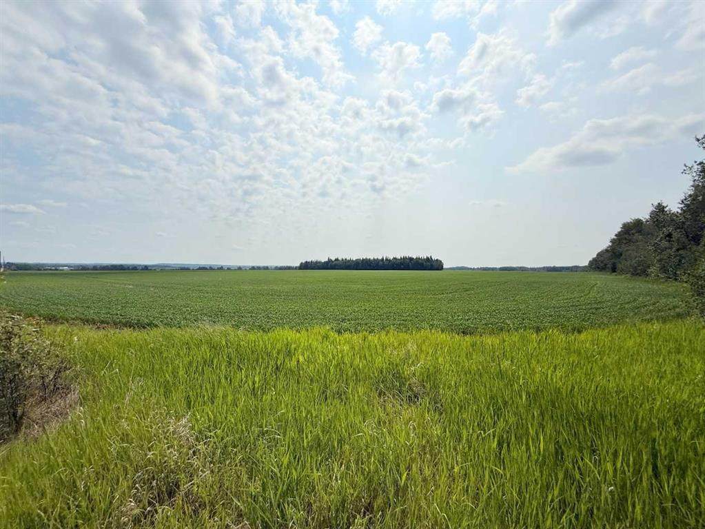 Lot 1 Township Road 663 - Photo 1