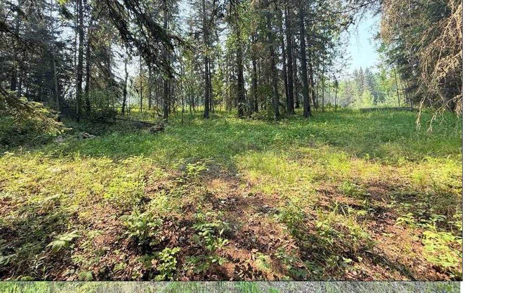 221054 670 Township - Photo 1