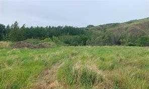 8201 98 Street - Photo 1