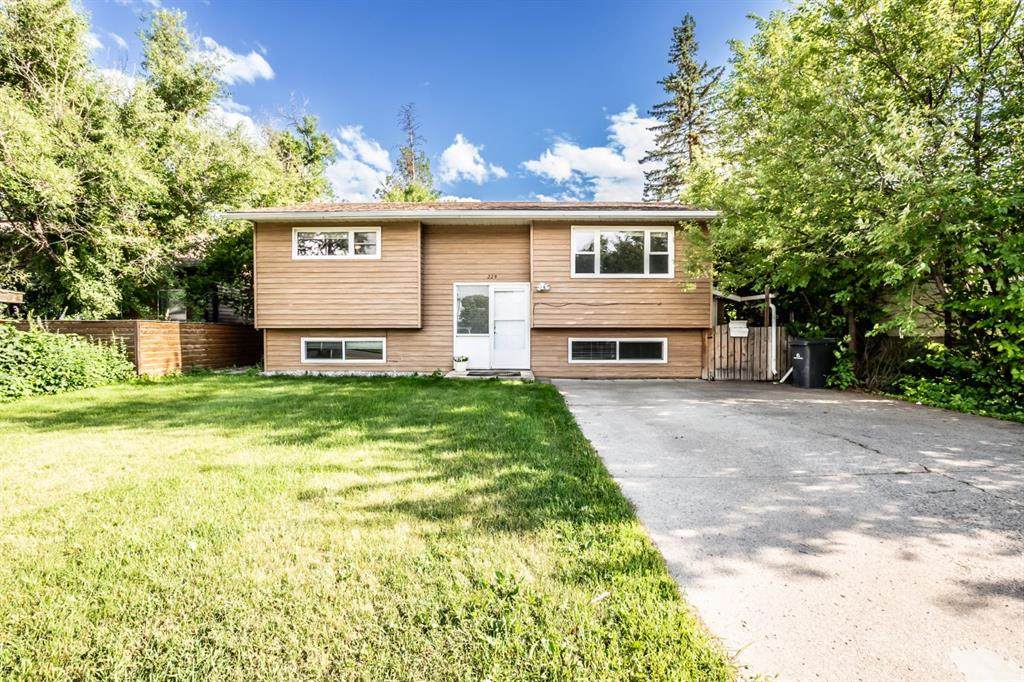 229 3 Avenue - Photo 1