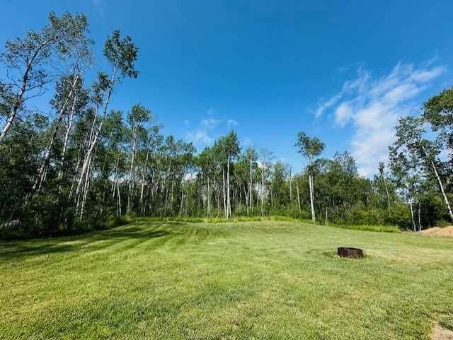 605 Loiselle Trail - Photo 1