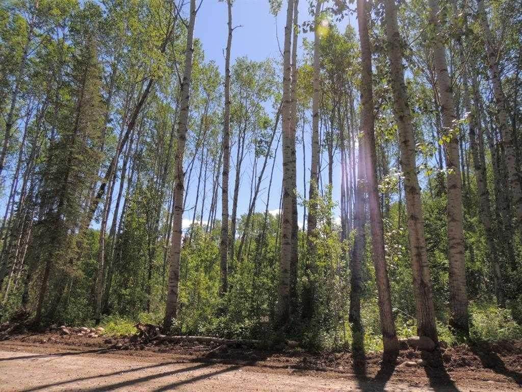 Lot #36 Wapiti River Sw-21-69-10-W6 - Photo 1