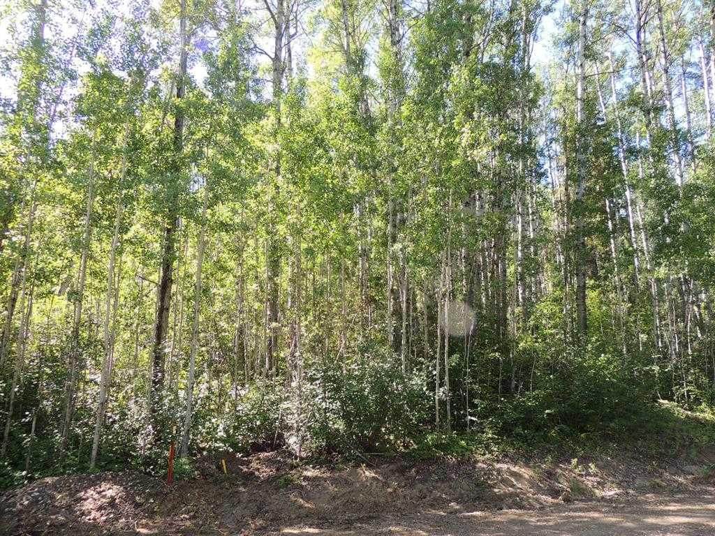 Lot #11 Wapiti River Sw-21-69-10-W6 - Photo 1