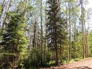 Lot #10 Wapiti River Sw-21-69-10-W6 - Photo 1