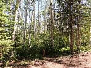 https://bt-photos.global.ssl.fastly.net/calgary/orig_boomver_1_A2246279-2.jpg