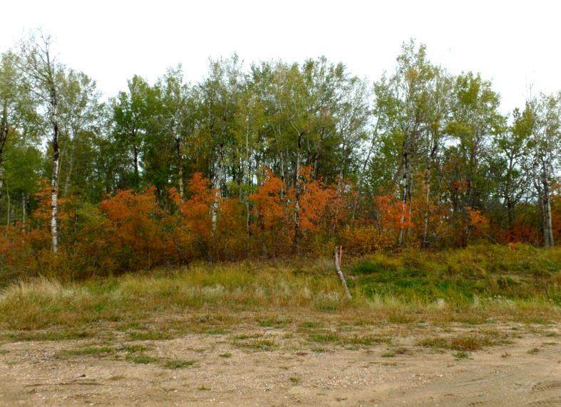 https://bt-photos.global.ssl.fastly.net/calgary/orig_boomver_1_A2246298-2.jpg