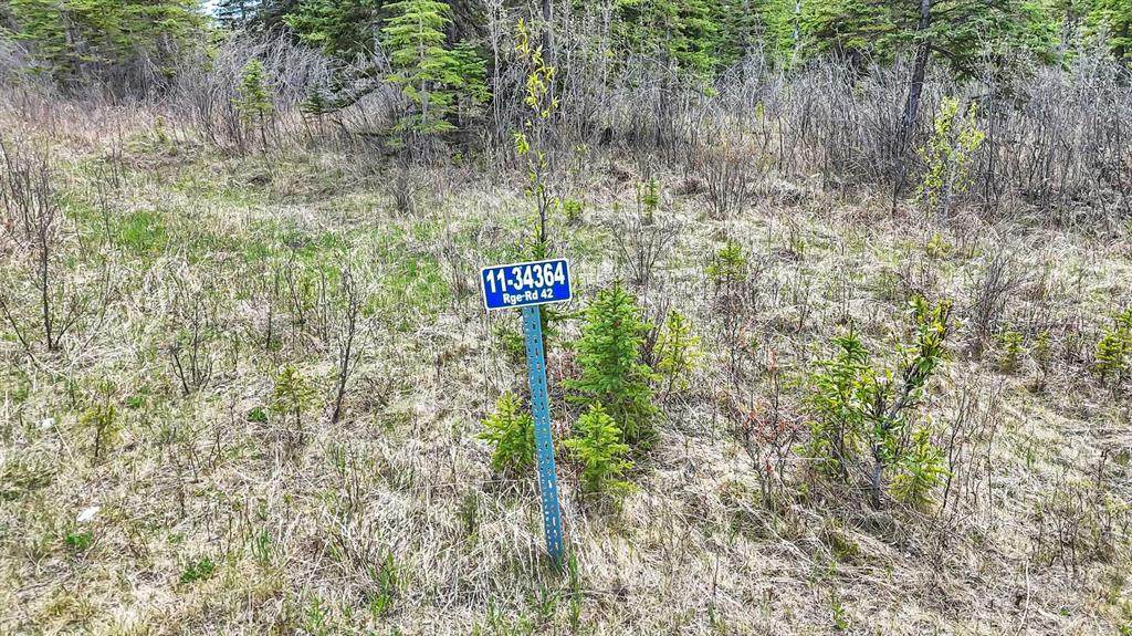 34364 Range Road 42 - Photo 1