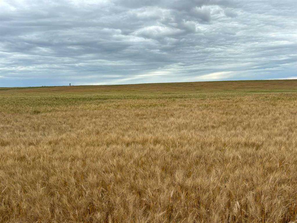 https://bt-photos.global.ssl.fastly.net/calgary/orig_boomver_1_A2250178-2.jpg