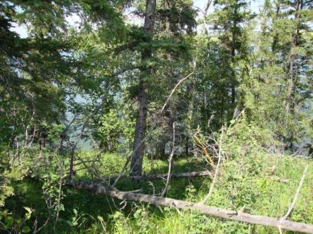 https://bt-photos.global.ssl.fastly.net/calgary/orig_boomver_1_A2251741-2.jpg