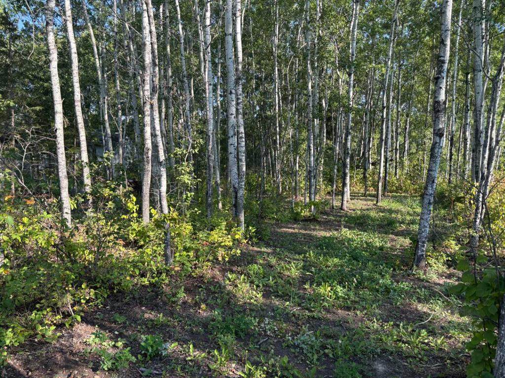 https://bt-photos.global.ssl.fastly.net/calgary/orig_boomver_1_A2253614-2.jpg