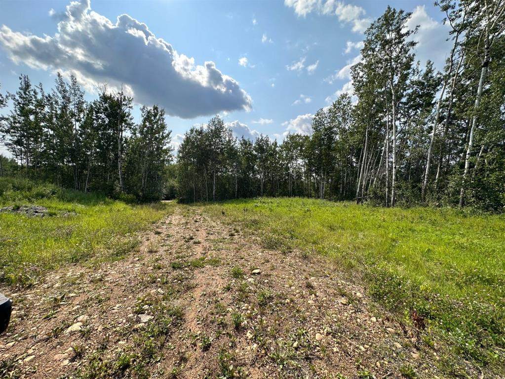 67417 Mcgrane Road - Photo 1