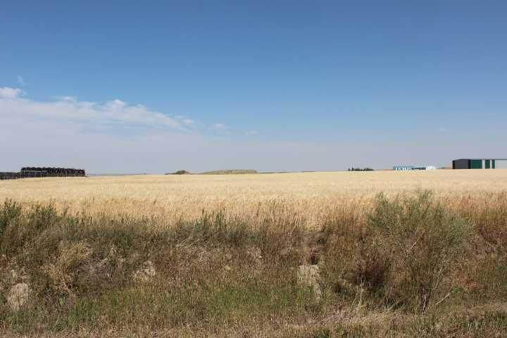 https://bt-photos.global.ssl.fastly.net/calgary/orig_boomver_1_A2255189-2.jpg