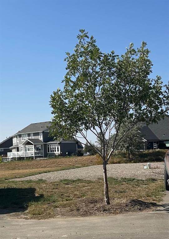 2039 Sunflower Crescent - Photo 1
