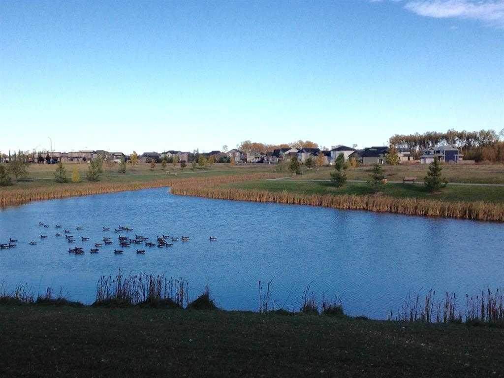 https://bt-photos.global.ssl.fastly.net/calgary/orig_boomver_1_A2258345-2.jpg