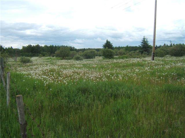 https://bt-photos.global.ssl.fastly.net/calgary/orig_boomver_1_A2259851-2.jpg