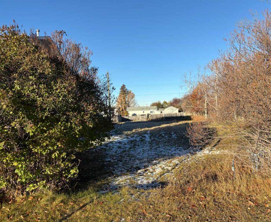 4524 46 Street - Photo 1