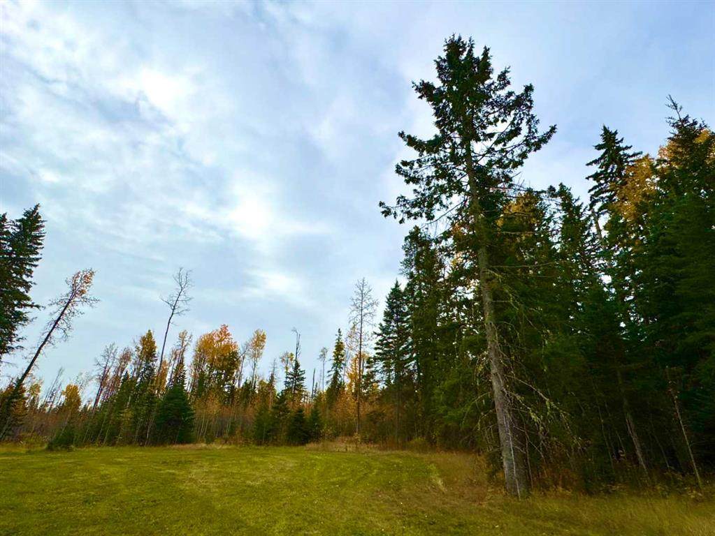 https://bt-photos.global.ssl.fastly.net/calgary/orig_boomver_1_A2264700-2.jpg