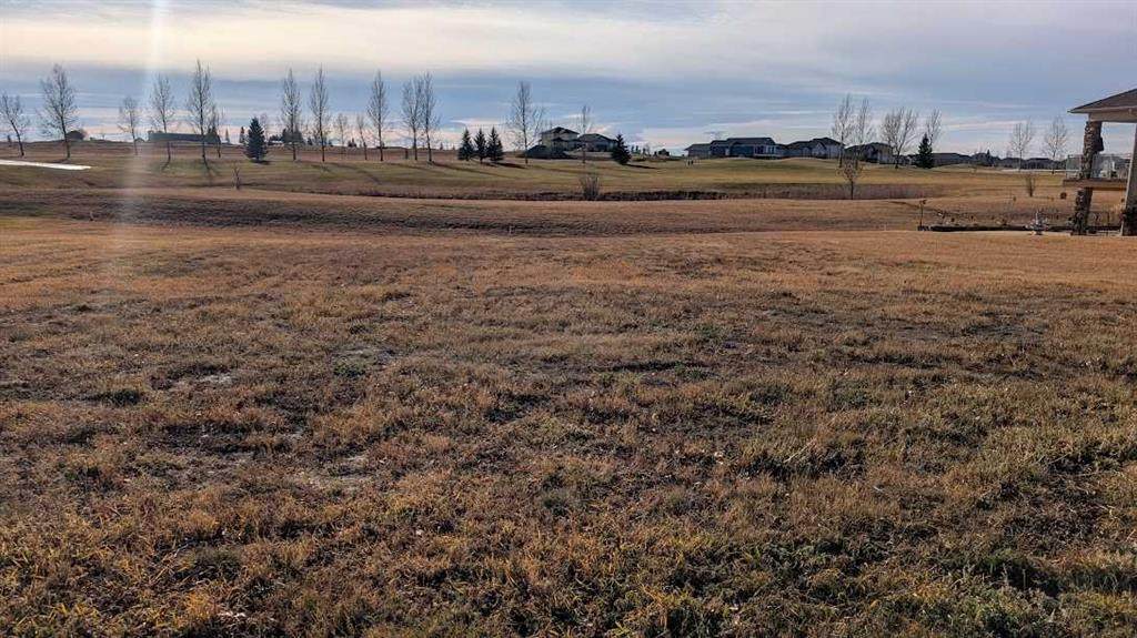 517 Whispering Greens Avenue - Photo 1