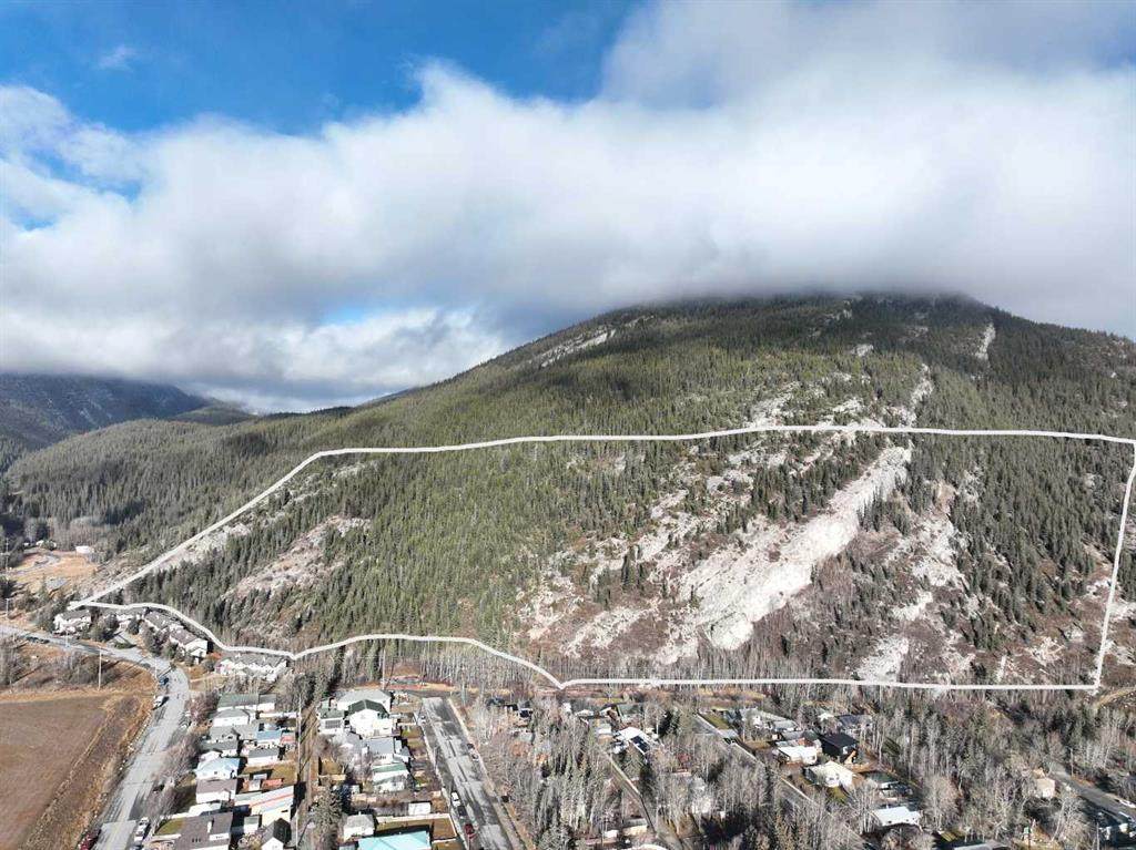 65 Acres Along Windridge Road - Photo 1