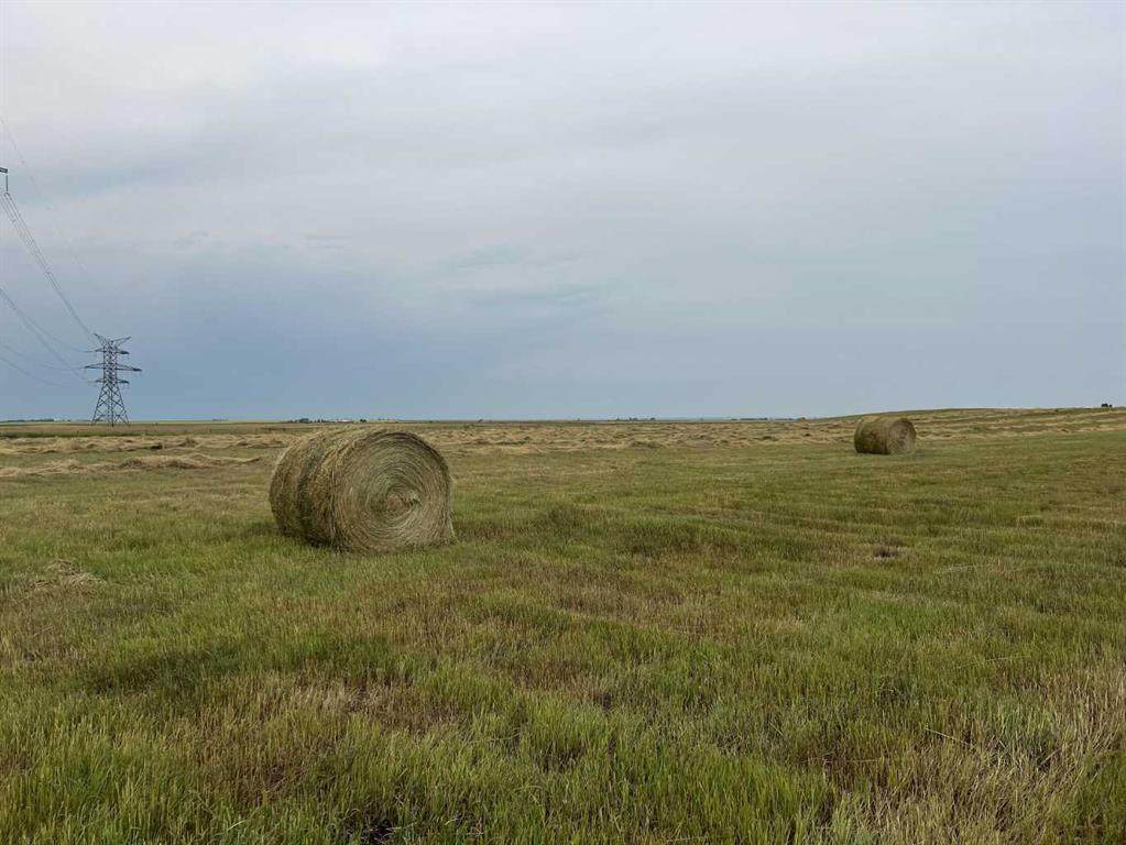 https://bt-photos.global.ssl.fastly.net/calgary/orig_boomver_1_A2272657-2.jpg